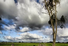 香港六合彩网站是否合法可靠？